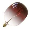 Calex | LED filament | Grote fitting E27 | Design lamp | 170mm | 5W