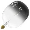 Calex | LED filament | Grote fitting E27 | Design lamp | 170mm | 5W
