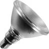 Gloeilamp Spot | Grote fitting E27 | PAR38 | 75W | 122mm | Mat