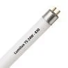Lumilux T5 FQ HO 24W - 830 Warm Wit | 55cm