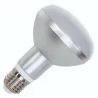 Bailey | LED lamp | Grote fitting E27 | Reflectorlamp | 80mm | 9W