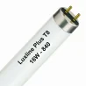 Luxline Plus T8 16W - 840 Koel Wit | 72cm