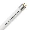 MASTER TL5 HO 54W - 865 Daglicht | 115cm