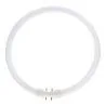 Lumilux T5 Circulair FC 22W - 830 Warm Wit | 23cm