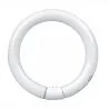 T9 Circline | 30W | G10Q | 830 Warm wit
