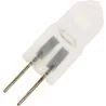 Halogeenlamp | G4 | Insteeklamp | Mat | 31mm | 10W | 12V