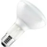 Gloeilamp | Grote fitting E27 | Reflectorlamp | Mat | 95mm | 100W