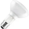 Halogeenlamp | Grote fitting E27 | Reflectorlamp | 105W 95mm Mat