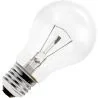 Gloeilamp | Grote fitting E27 | Standaardlamp | Helder | 55mm | 25W