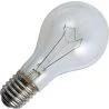 Gloeilamp | Grote fitting E27 | Standaardlamp | Helder | 100mm | 300W
