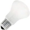 Gloeilamp | Grote fitting E27 | Superluxlamp | Opaal | 50mm | 53W